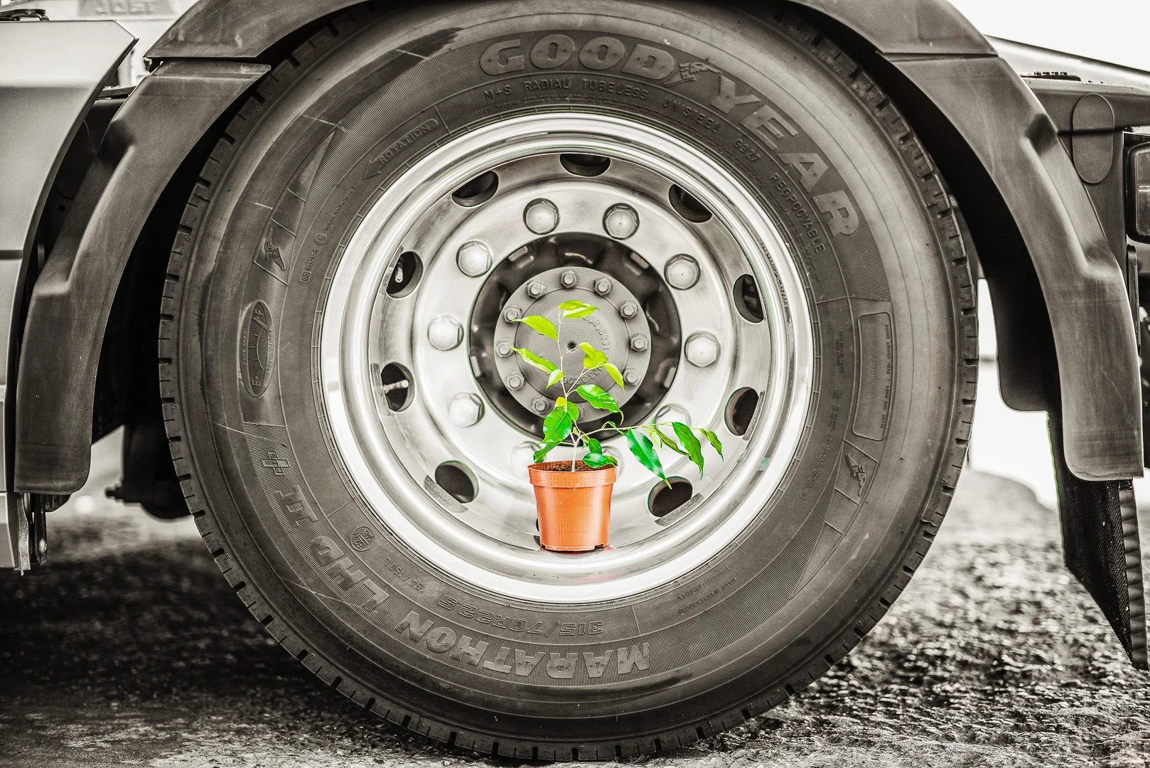 Automotive Photography - Andrejs Zavadskis, photo 66