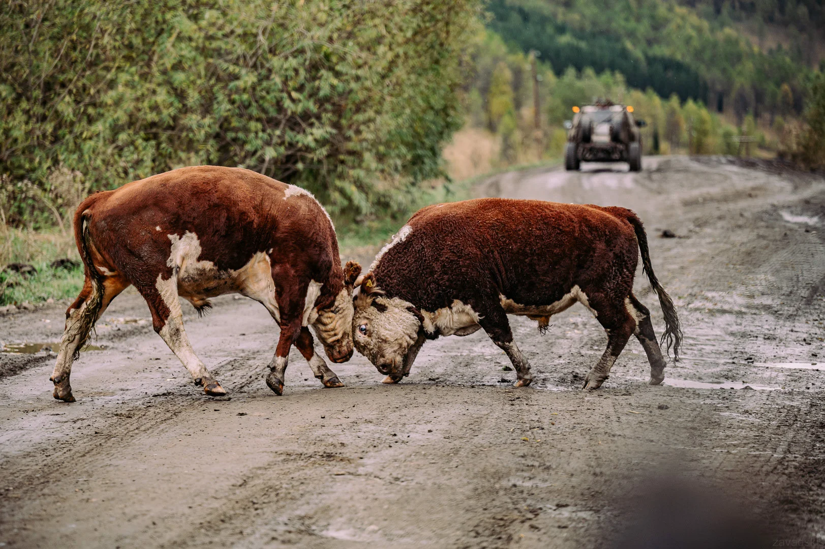 Travel Photography - Andrejs Zavadskis, photo 35