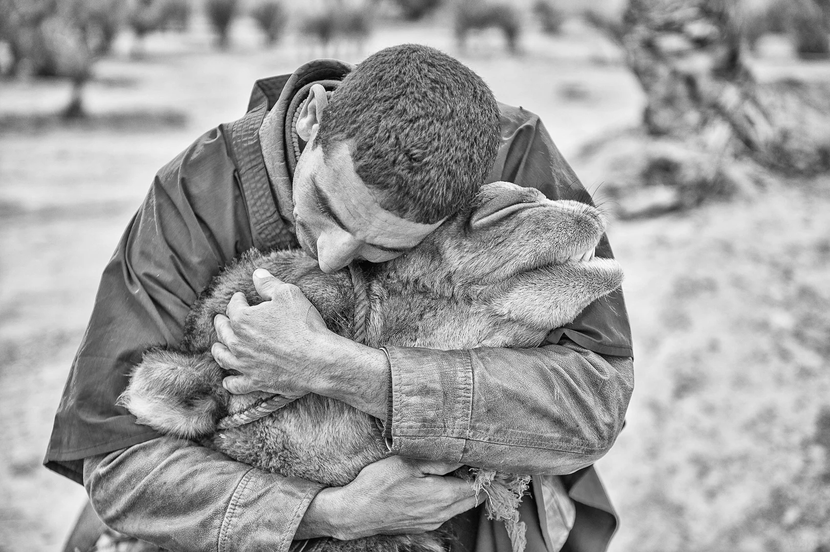 Travel Photography - Andrejs Zavadskis, photo 56