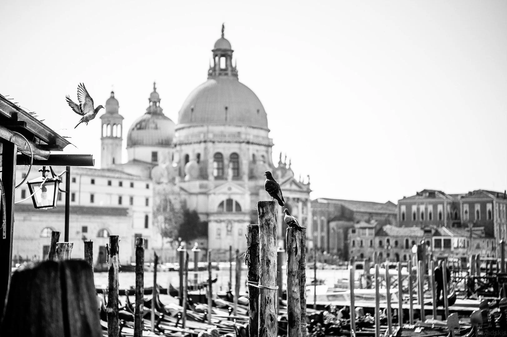 Travel Photography - Andrejs Zavadskis, photo 85