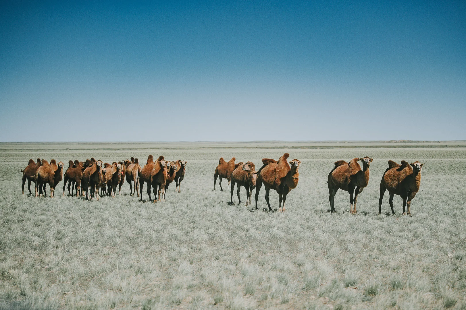 Travel Photography - Andrejs Zavadskis, photo 97