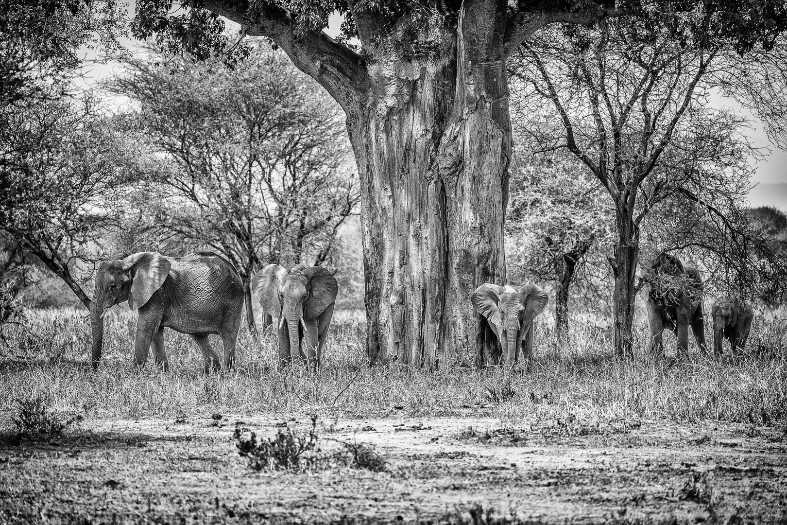 Travel Photography - Andrejs Zavadskis, photo 104