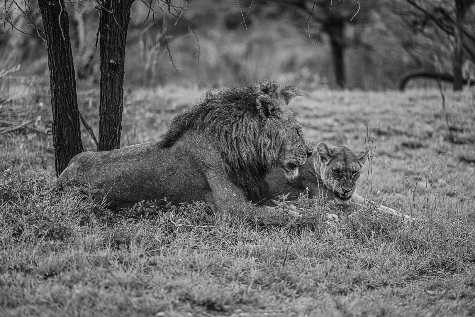 Travel Photography - Andrejs Zavadskis, photo 118