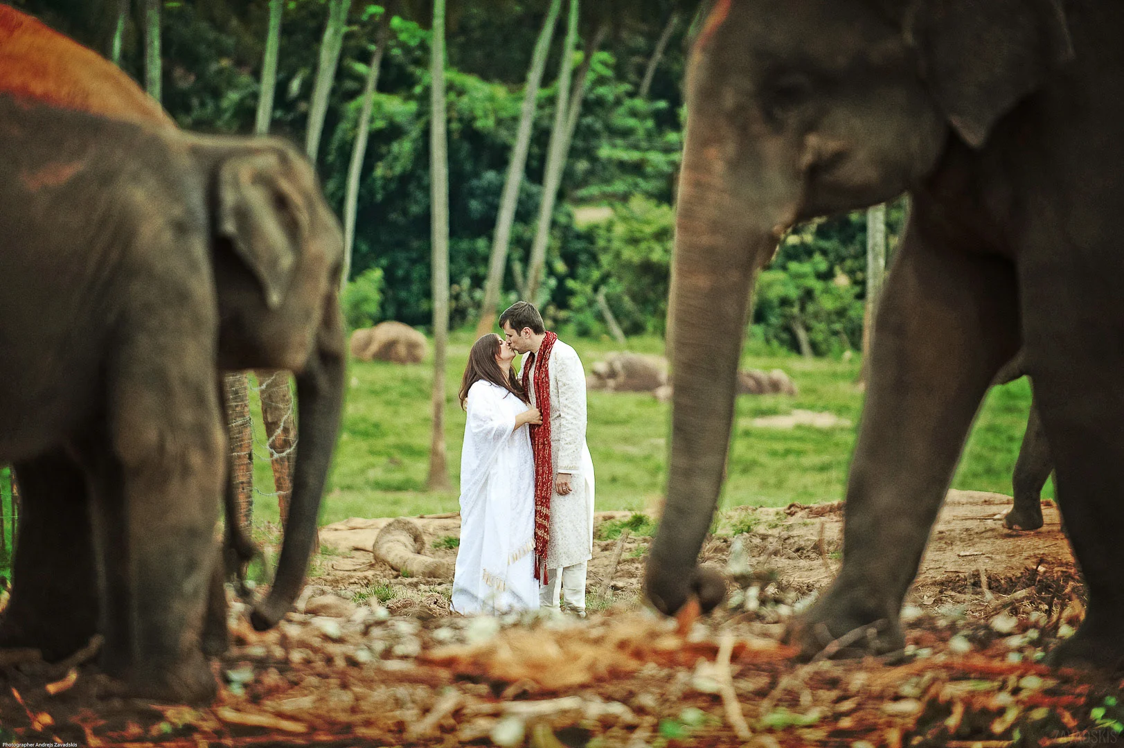 Wedding Photography - Andrejs Zavadskis, photo 12