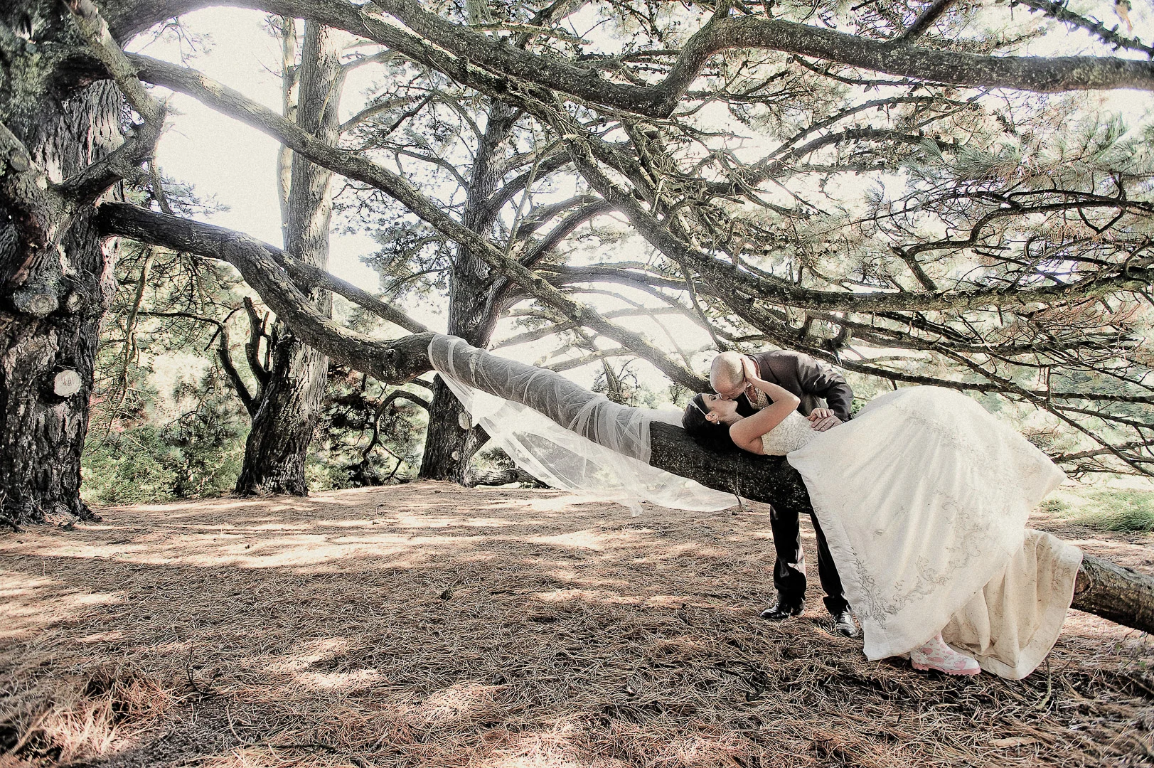 Wedding Photography - Andrejs Zavadskis, photo 28