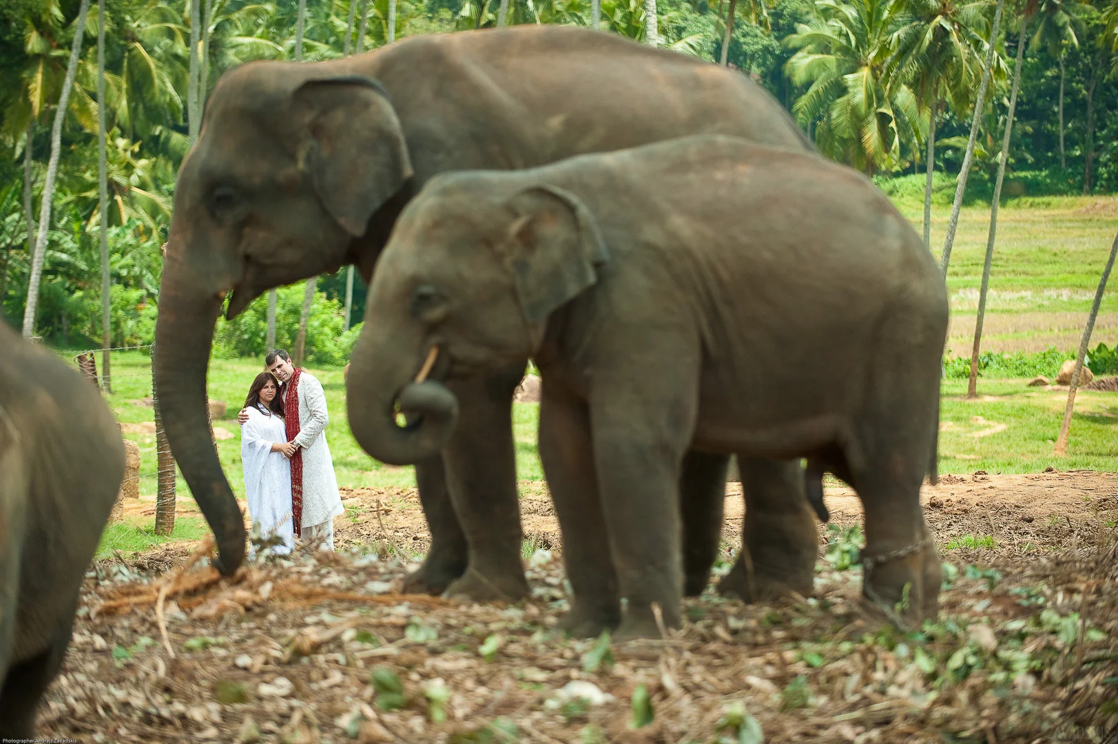 Wedding Photography - Andrejs Zavadskis, photo 46