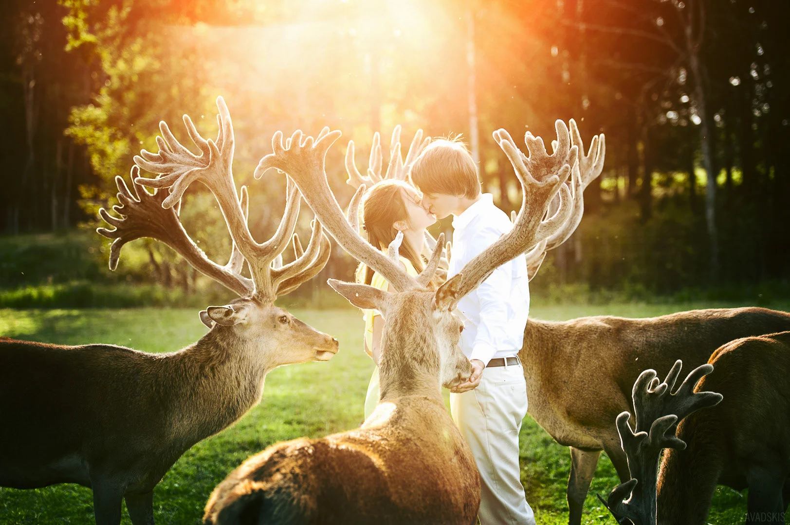 Wedding Photography - Andrejs Zavadskis, photo 104