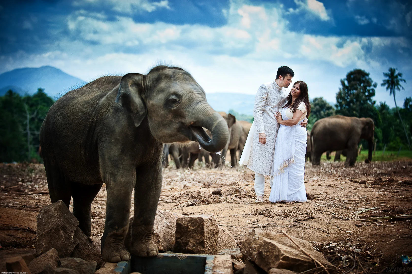 Wedding Photography - Andrejs Zavadskis, photo 159