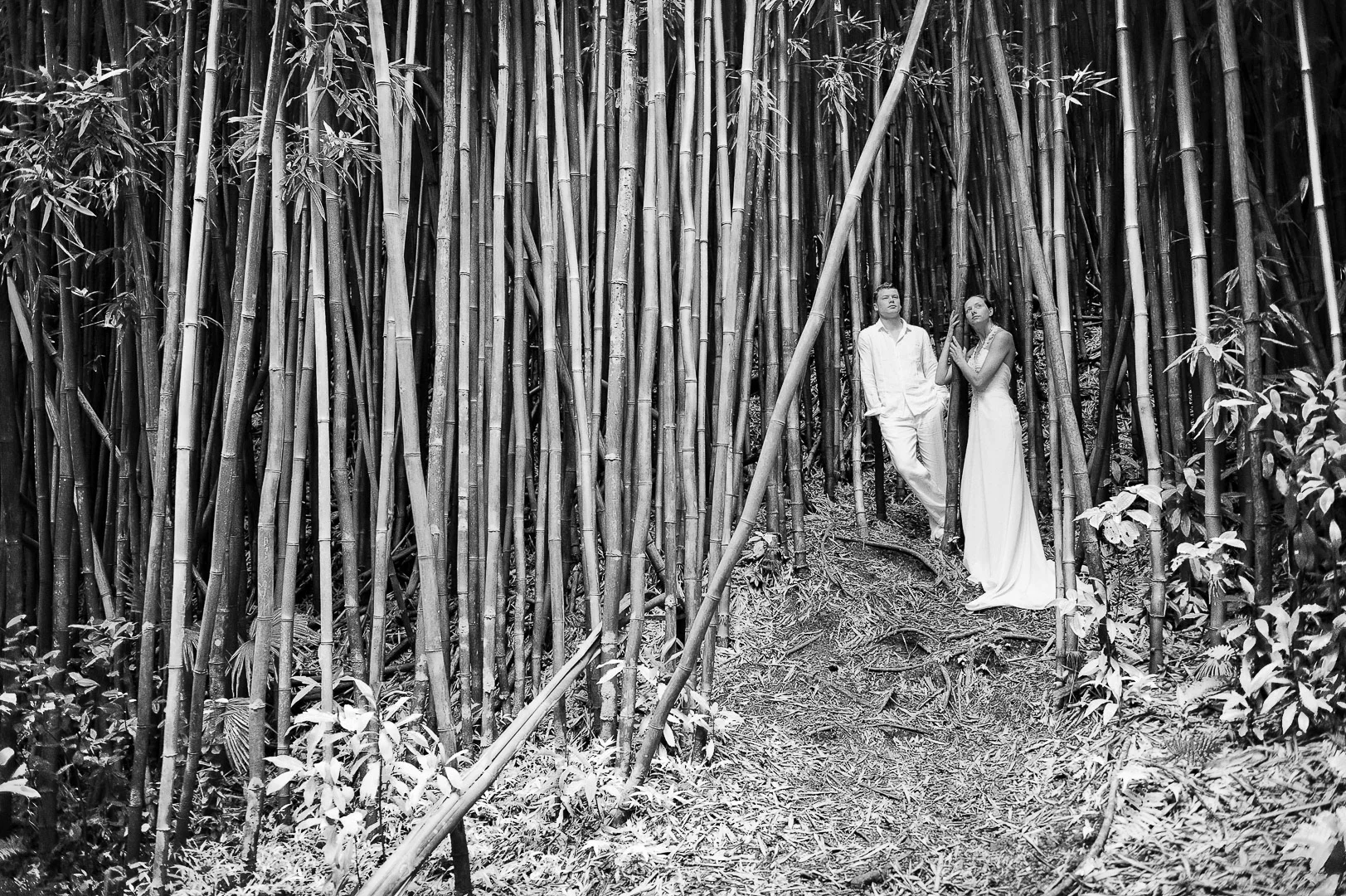 Wedding Photography - Andrejs Zavadskis, photo 162