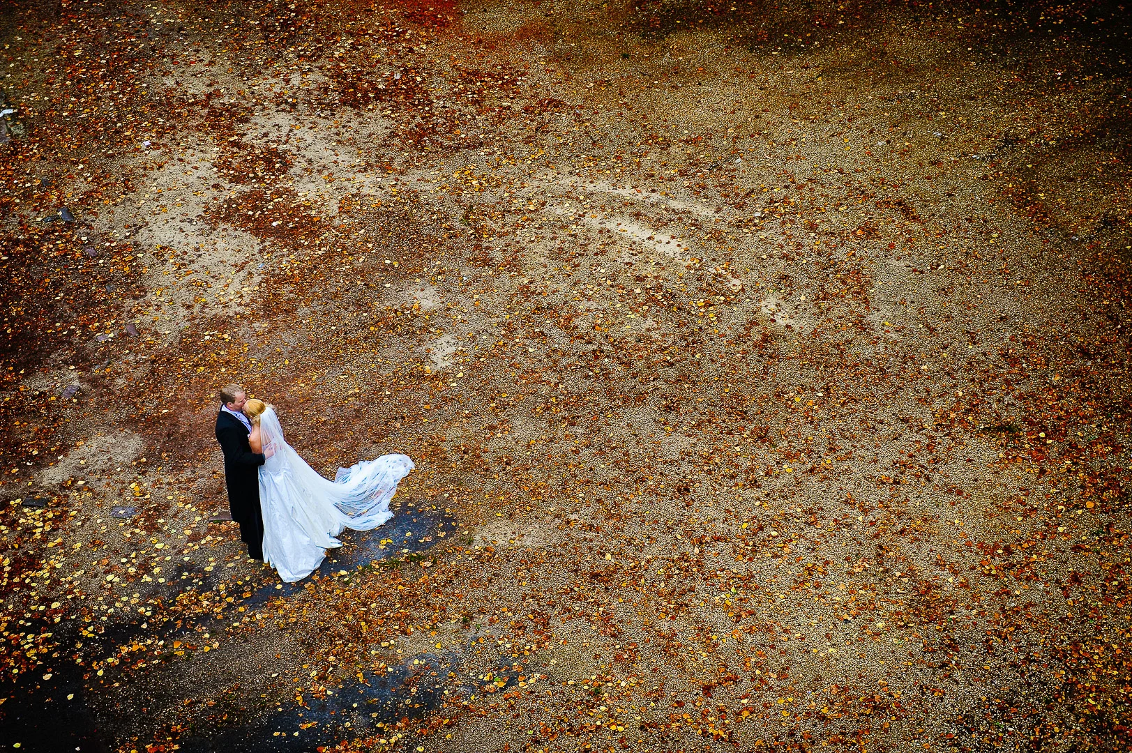 Wedding Photography - Andrejs Zavadskis, photo 164